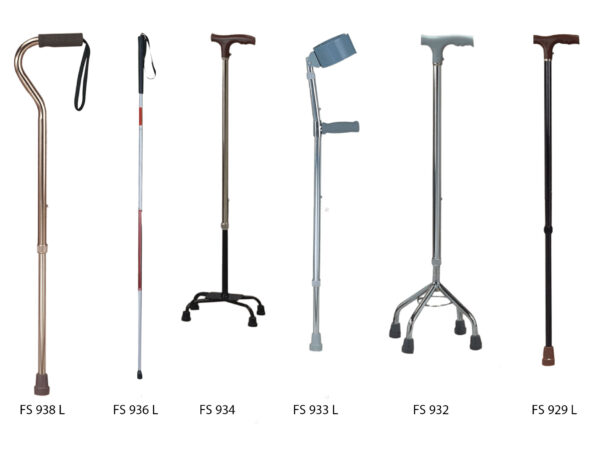 Walking Stick